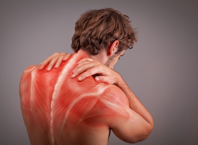 Muscle Pain1